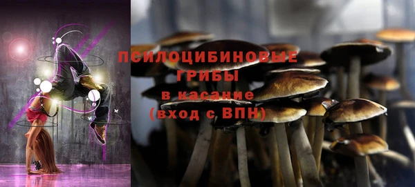 гашиш Богданович
