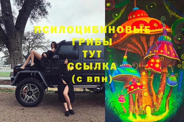 твердый Богородск