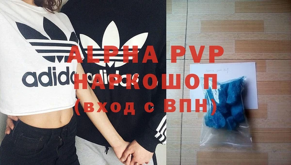 гашиш Богданович