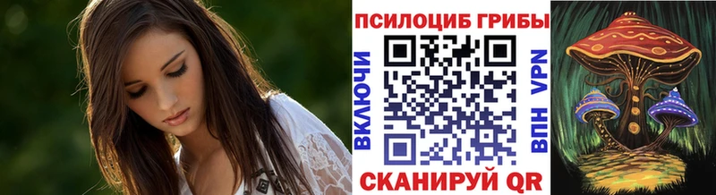 магазин    Володарск  Псилоцибиновые грибы мухоморы 